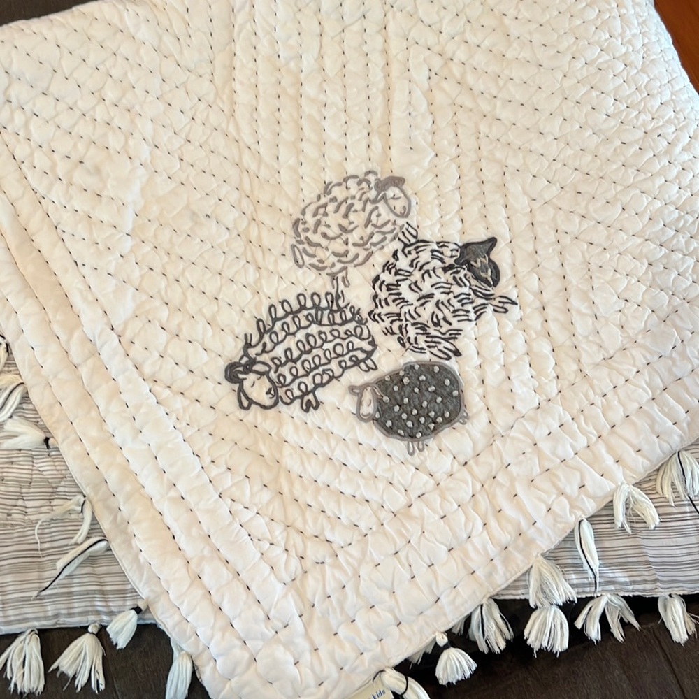 Pottery Barn Kids quilt and bed skirt